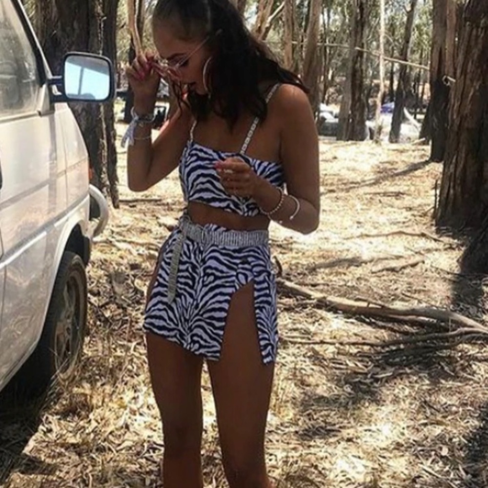 Zebra rave set